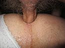 homo en bi, foto 4000x3000, 10 reacties, 35 stemmen