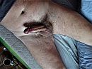 ja, foto 2592x1944, 0 reacties, 2 stemmen
