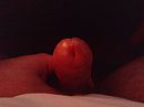 koekkoek, foto 2048x1536, 9 reacties, 12 stemmen