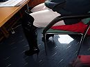 kom je ook??, foto 4000x3000, 3 reacties, 11 stemmen