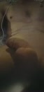 lekker aftrekken, film 00:00:00, 0 reacties, 1 stemmen