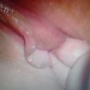 lekker, foto 1920x1920, 6 reacties, 24 stemmen
