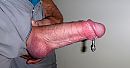 lekker dik, foto 3012x1590, 0 reacties, 2 stemmen