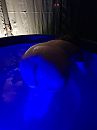 lekker geilen in de hottub, foto 3000x4000, 10 reacties, 69 stemmen