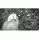 lunchpauze, film 00:00:27, 8 reacties, 18 stemmen
