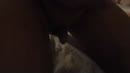 m'n geile vette neuk kut, film 00:00:00, 1 reacties, 4 stemmen