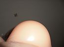 me tiet, foto 4000x3000, 0 reacties, 0 stemmen
