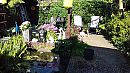 naakte tuin, foto 3264x1836, 3 reacties, 11 stemmen