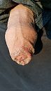 nat, foto 2250x4000, 5 reacties, 9 stemmen