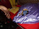 onze vriendin des huizes, foto 4000x3000, 1 reacties, 8 stemmen