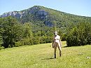 ook op vakantie, foto 2848x2136, 1 reacties, 12 stemmen