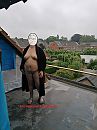 op ons dakterras in aanbouw, foto 1500x2000, 21 reacties, 149 stemmen