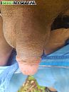 paal, foto 412x550, 2 reacties, 5 stemmen