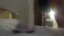 pompen in m'n geile vette kut,, film 00:00:00, 0 reacties, 5 stemmen