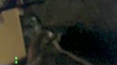 receiving black cum, film 00:00:00, 1 reacties, 20 stemmen