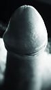 silence...., foto 2325x3989, 0 reacties, 1 stemmen