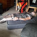 slavin in folie, foto 2160x2160, 3 reacties, 11 stemmen