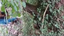 slettelozing in de natuur, film 00:00:28, 5 reacties, 50 stemmen