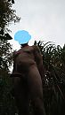 stijf, foto 1440x2560, 1 reacties, 9 stemmen