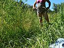 summer 2019, foto 4000x3000, 0 reacties, 0 stemmen