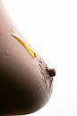 sweet as honey, foto 2640x3960, 7 reacties, 24 stemmen