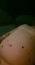 teasing my slut, film 00:00:00, 5 reacties, 35 stemmen