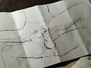 tekening neuken., foto 976x732, 0 reacties, 4 stemmen