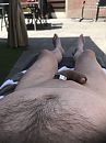thuis, foto 3000x4000, 1 reacties, 5 stemmen