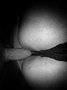 topview......, foto 1200x1600, 12 reacties, 63 stemmen