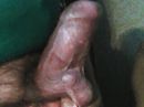 tot uiterste gespannen., foto 963x722, 2 reacties, 3 stemmen