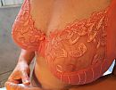 transparant ...., foto 261x203, 37 reacties, 116 stemmen