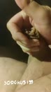 trekfim 2, film 00:00:14, 15 reacties, 17 stemmen