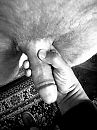 trekken, foto 1440x1919, 13 reacties, 47 stemmen