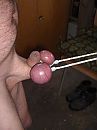 trekkracht, foto 600x800, 11 reacties, 34 stemmen