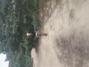 tress  strubben bos, film 00:00:00, 1 reacties, 19 stemmen