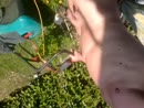 tuin, film 00:00:00, 13 reacties, 63 stemmen