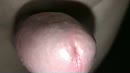 vind je dit leuk ??, film 00:00:18, 2 reacties, 3 stemmen