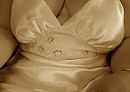 voelt zacht, foto 1009x719, 9 reacties, 35 stemmen