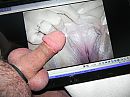 voor LAdy Thoma63, foto 2592x1944, 4 reacties, 5 stemmen