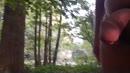 wandelen, film 00:00:19, 4 reacties, 18 stemmen