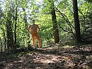 wandeling, foto 1000x750, 1 reacties, 7 stemmen