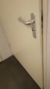 watsjme wou mijn zaad hebben!!, film 00:00:00, 6 reacties, 16 stemmen