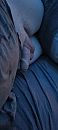 wie  wilt een cardate, foto 1801x4000, 1 reacties, 0 stemmen