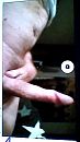 wie wil deze verwennen?, foto 360x640, 12 reacties, 29 stemmen