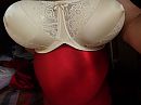 ze staan weer hot, foto 4000x3000, 0 reacties, 5 stemmen