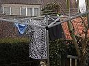 zo nu op stap, foto 4000x3000, 1 reacties, 10 stemmen