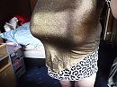 zonder bh, foto 4000x3000, 1 reacties, 8 stemmen