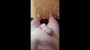 ♠Met zweepje  part 1, film 00:00:00, 0 reacties, 4 stemmen