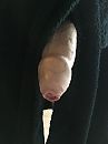 --, foto 97x130, 0 reacties, 5 stemmen