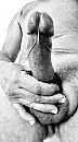 - B&W Pic -, foto 448x800, 3 reacties, 9 stemmen